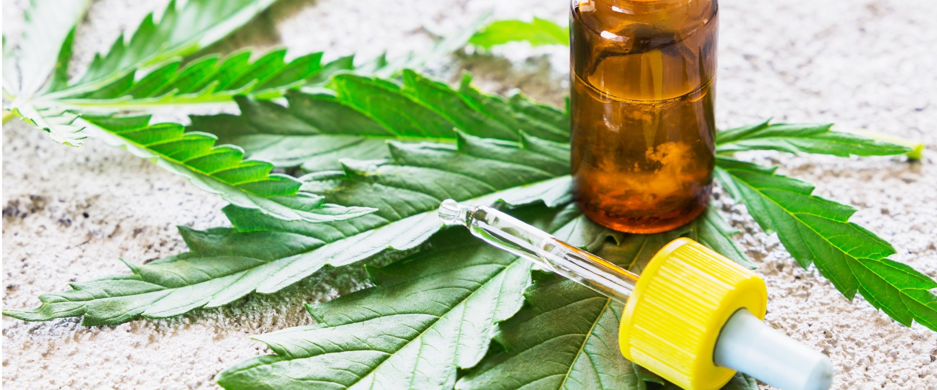 What is the Difference Between Hemp Oil and Hemp Extract?