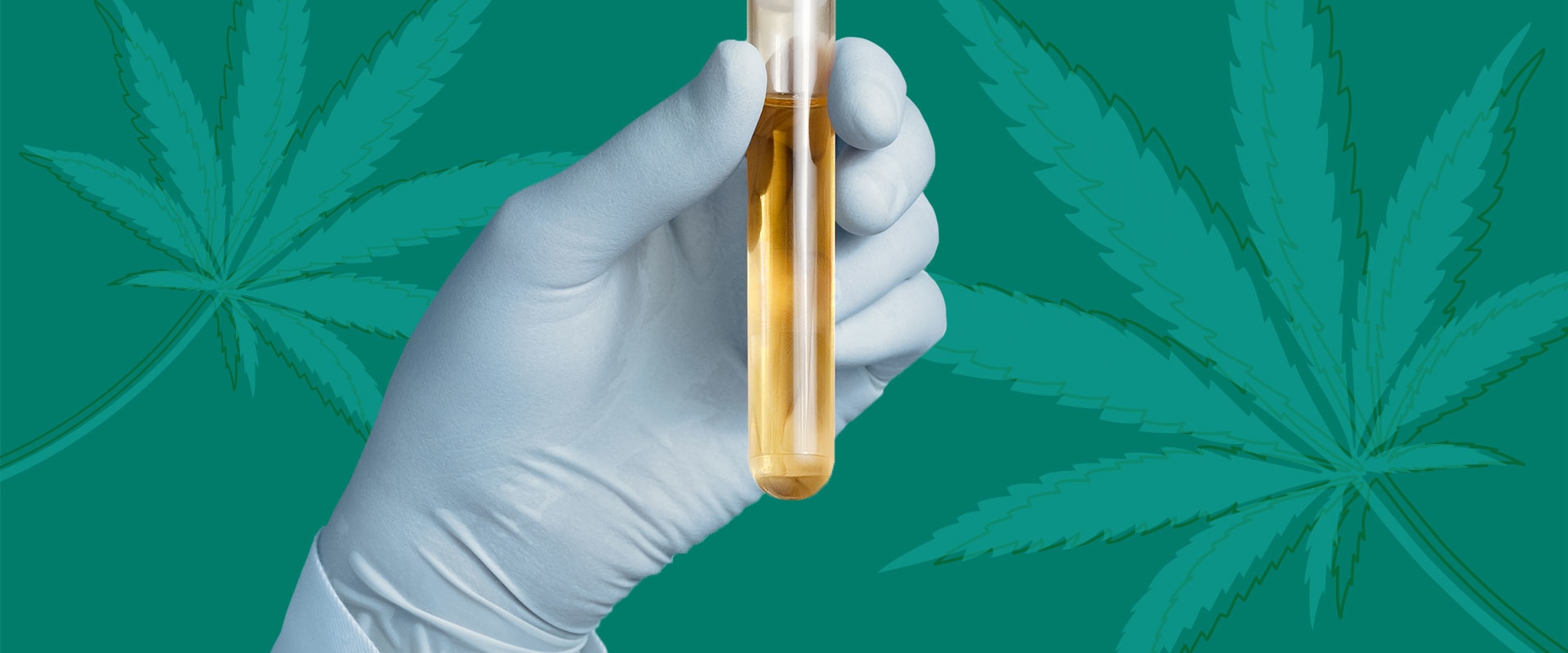 Can CBD Show Up on a Drug Test?