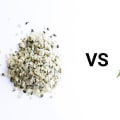 What's the Difference Between Hemp and CBD?