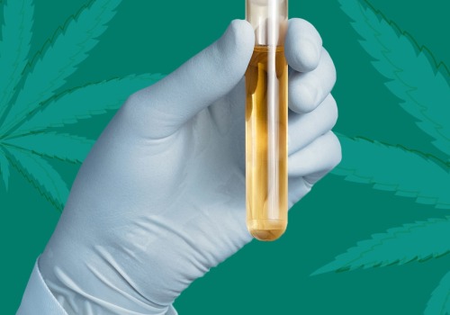 Can CBD Show Up on a Drug Test?
