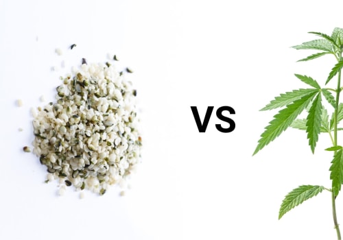 What is the Difference Between Hemp Oil and CBD Oil?